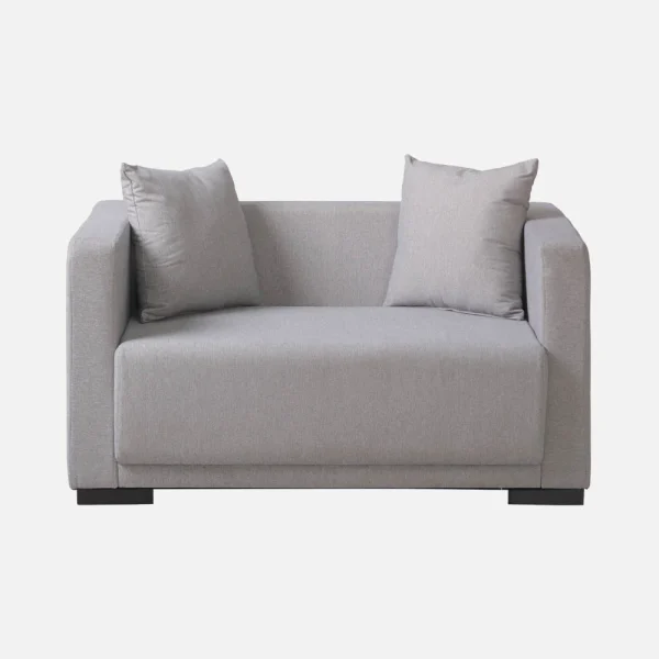 Sears II 2 Seater Sofa - Image 2